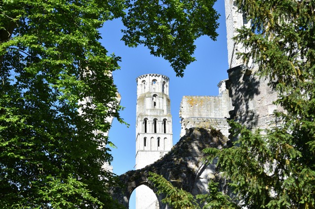 Abbaye de Jumièges, France (26-05-2017)